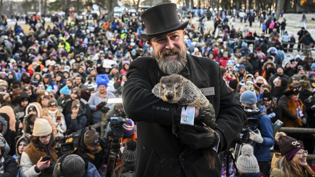 Słynny świstak Phil z Punxsutawney podczas Dnia Świstaka 2023