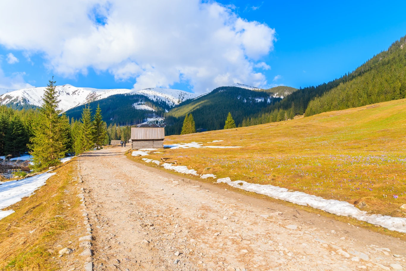 Wiele osób planuje spędzić majówkę w Zakopanem 