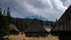 Domki na wynajem udawały "poidła dla koni". Sąd wydał wyrok