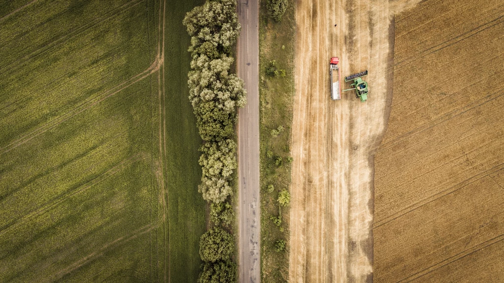 Czy wszystkie powyższe zmiany w praktykach rolniczych doprowadzą do ograniczenia ambicji środowiskowych UE? 