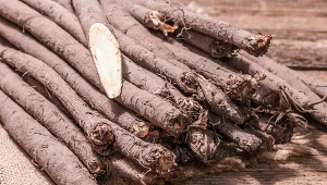 Skorzonera to zapomniane warzywo, które zdecydowanie zasługuje na to, by ponownie je odkryć