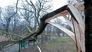 Potężne wichury pędzą do Polski. Najgorzej będzie po zmroku