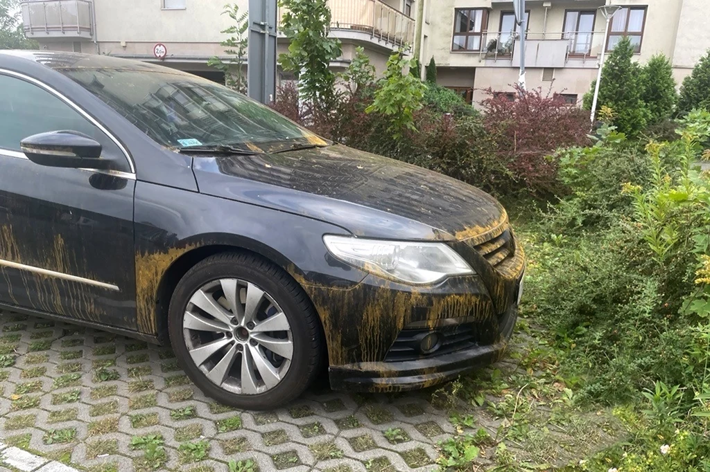 Brązowy deszcz? To nie wymysł meteorologów ale opad pyłu znad Sahary zwanego kalima