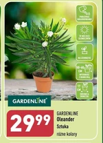 Oleander Gardenline