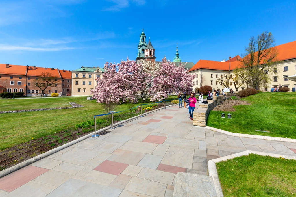 W dwóch regionach Polski termometry wskażą nawet 25 st. Celsjusza