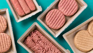 Unilever i Nestlé wycofują się z inwestycji w roślinne zamienniki mięsa