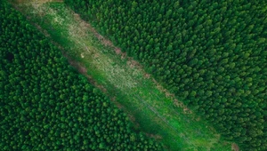 3 maja to ostatni dzień. Polska wykorzystała naturalne zasoby na 2025 r.
