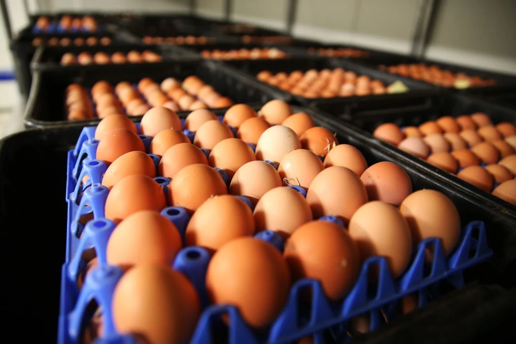 Ile jaj można spożywać tygodniowo? Teorie są różne