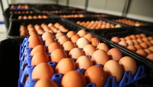 Ile jaj można spożywać tygodniowo? Teorie są różne