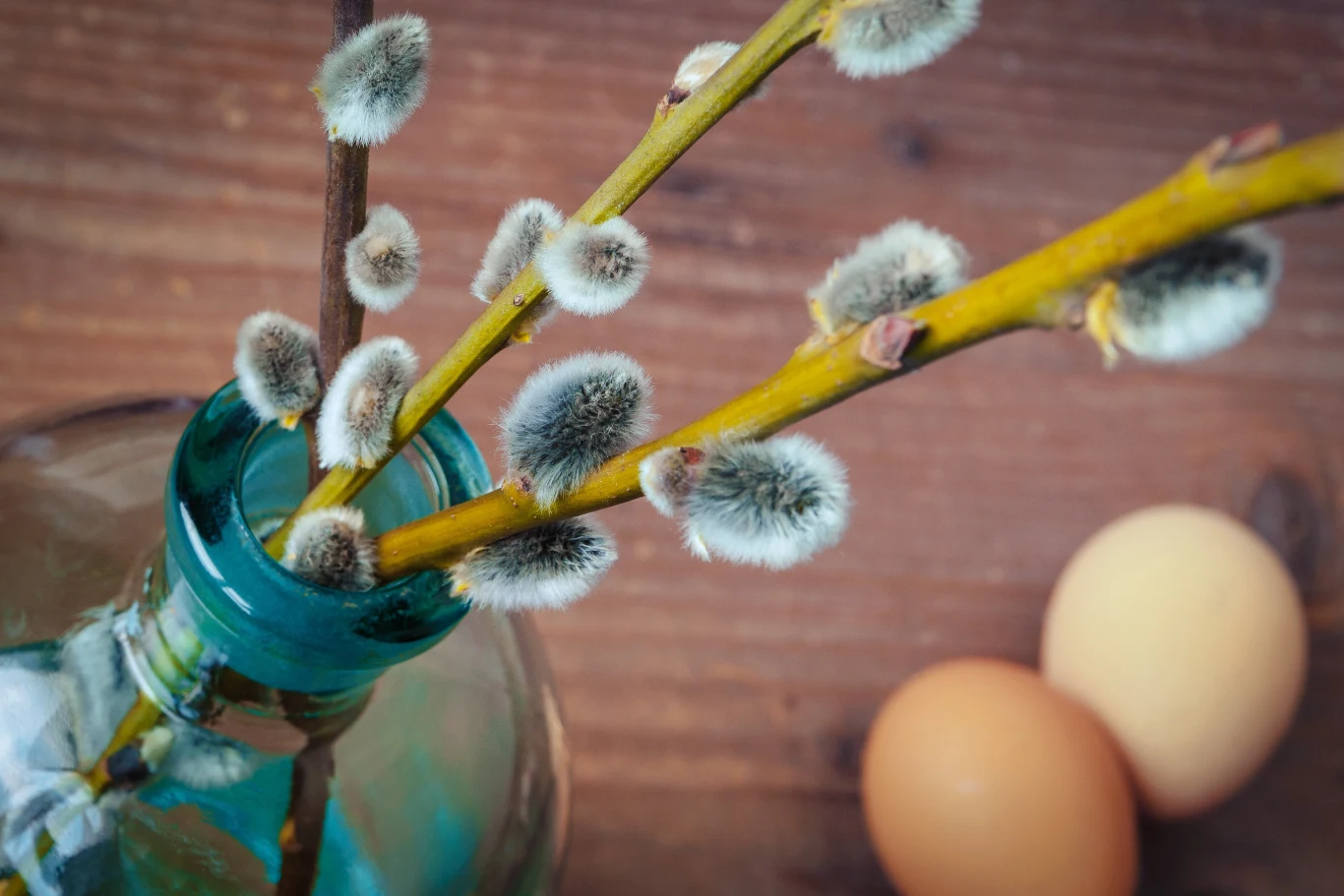 Bazi nie powinno się wstawiać do wody