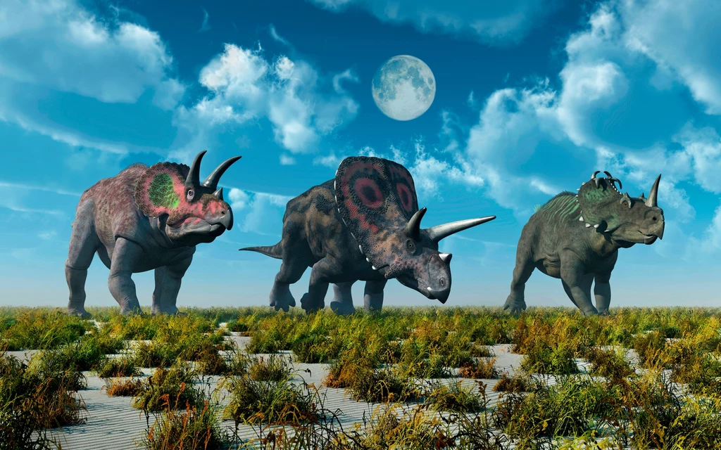Trzy dinozaury rogate, od prawej: triceratops, torozaur i centrozaur