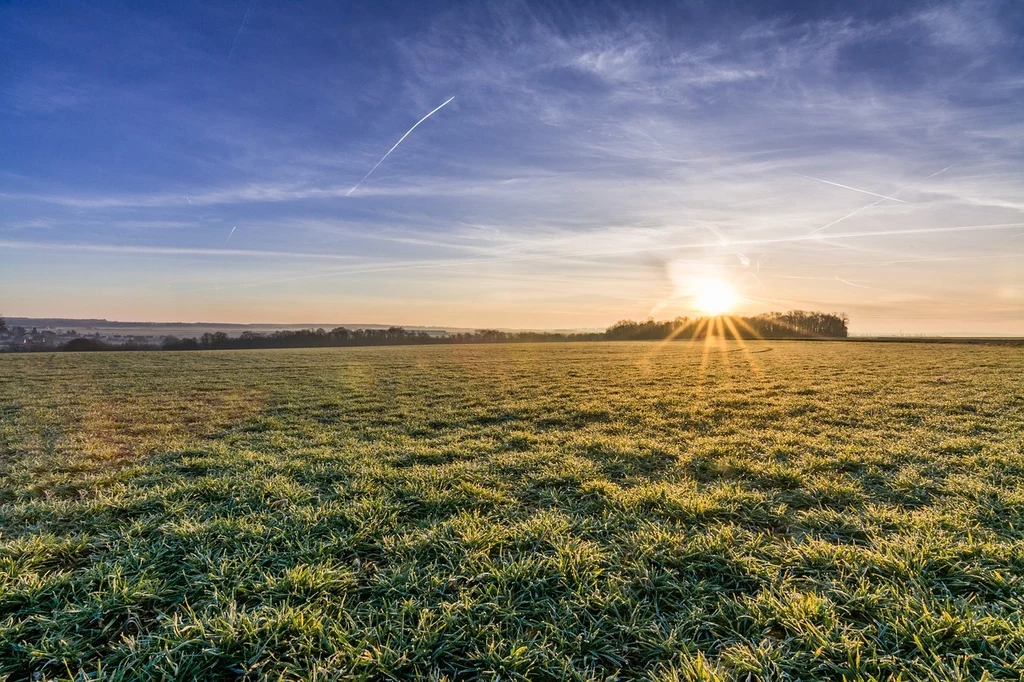 Po 50 latach padł nowy rekord temperatury w marcu Po 50 latach padł nowy rekord temperatury w marcu