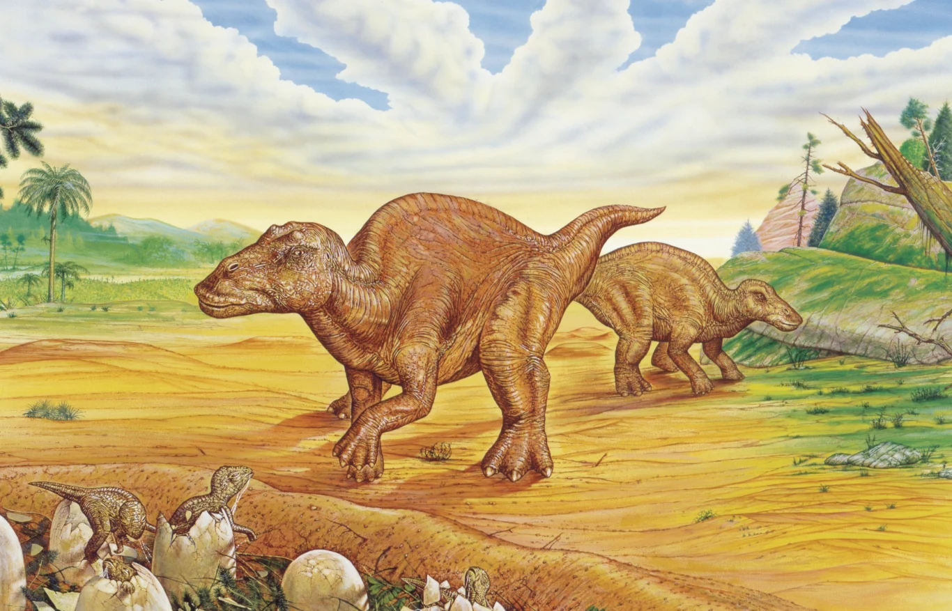 Majazaura nazwana na cześć bogini Mai. Była troskliwym rodzicem