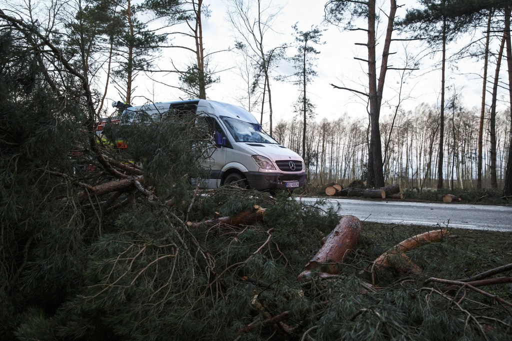 We wtorek 2 kwietnia obowiązują ostrzeżenia meteorologiczne 1 stopnia przed intensywnymi opadami deszczu, a od godz. 11:00 obowiązywać będą ostrzeżenia 1 stopnia przed silnym wiatrem, a także ostrzeżenia hydrologiczne