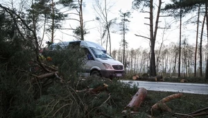 Niebezpieczna pogoda nad Polską. Jak się uchronić przed wichurą?