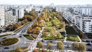 Kierowcy ze stolicy muszą pilnie zabrać auta. W miejscu parkingu powstaje park