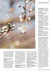 Drogerie Natura - magazyn klubu natura - kwiecień 2024