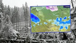 Środa z zimowym akcentem. Są też alerty