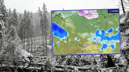 W środę silny wiatr może się pojawić we wschodniej połowie Polski. Alert IMGW pierwszego stopnia obowiązuje dla siedmiu województw
