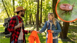 Te kolory przyciągają kleszcze. Zrezygnuj z nich, gdy idziesz do lasu 