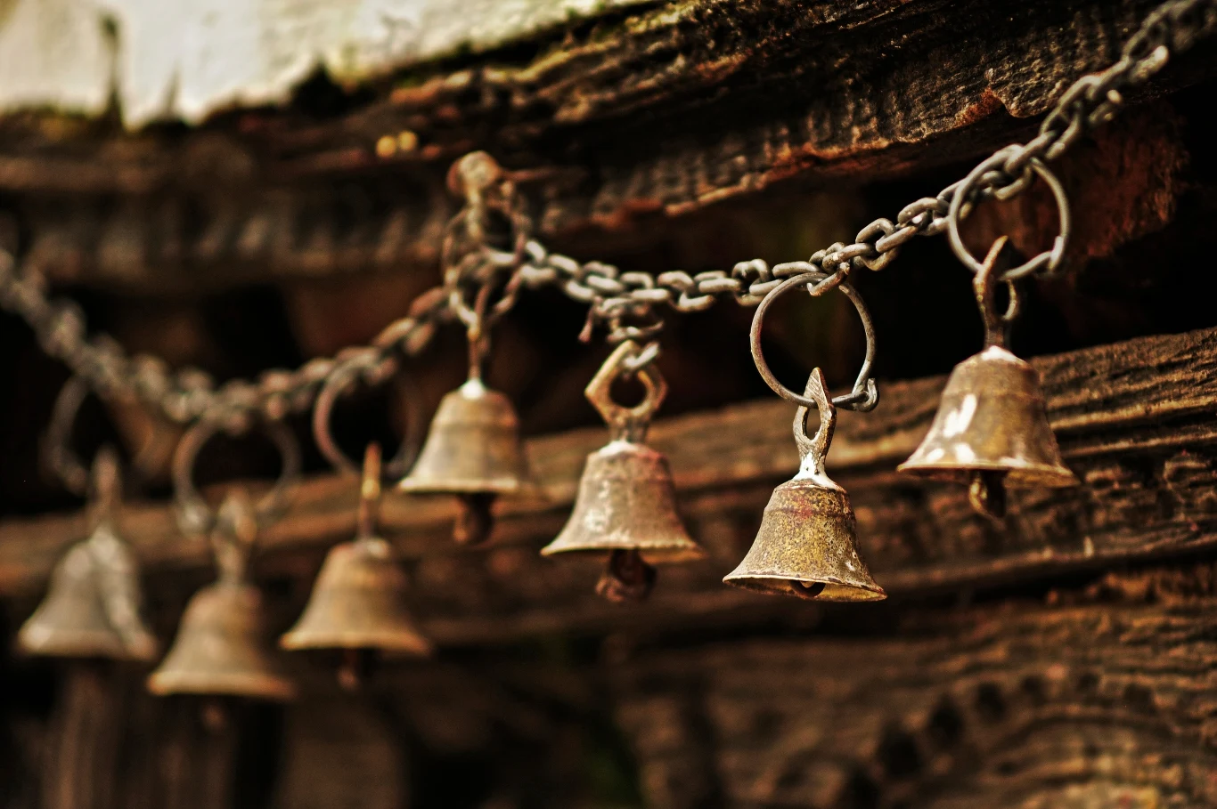 Nie lekceważ tego sygnału, gdy słyszysz go w uchu Nie lekceważ tego sygnału, gdy słyszysz go w uchu