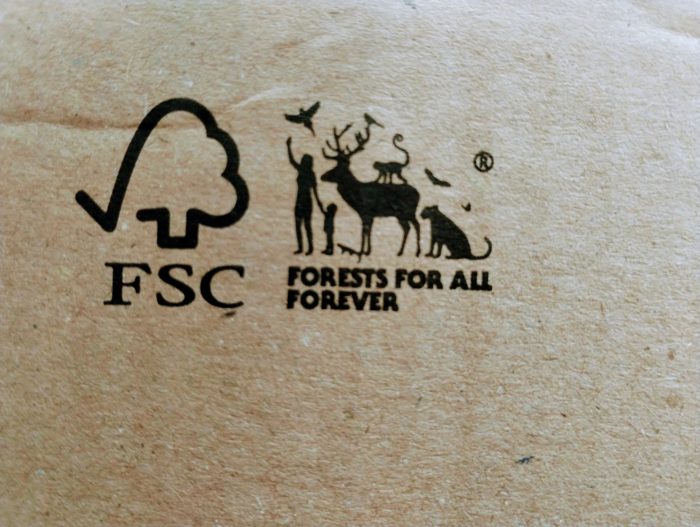 FSC działa w 89 krajach, aby "chronić lasy dla przyszłych pokoleń"