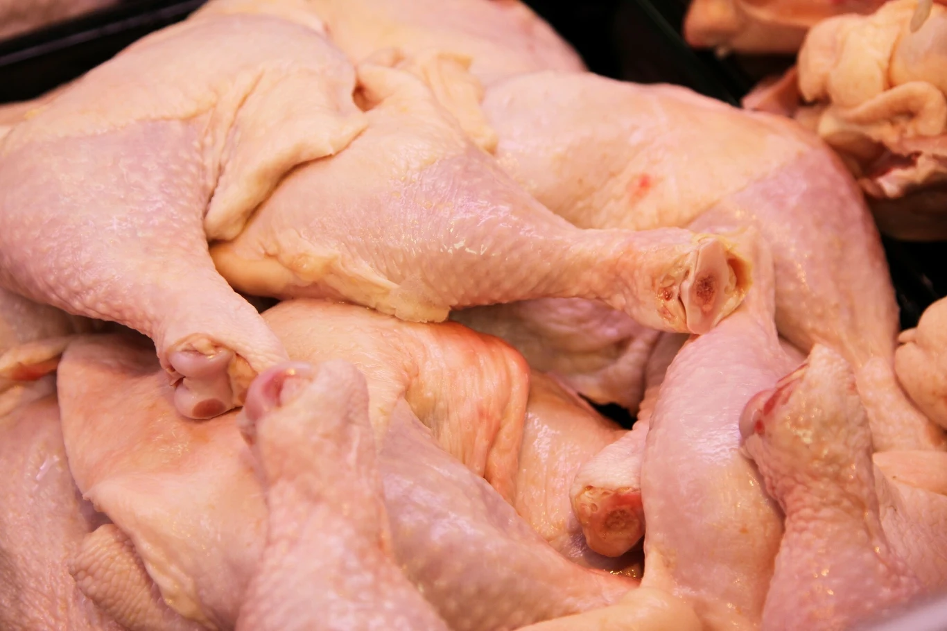 W biznesie coraz bardziej liczy się tzw. odpowiedzialność społeczna i środowiskowa. Jej odzwierciedleniem są praktyki nastawione nie tylko na zysk, ale i uwzględniające - w przypadku branży mięsnej i mlecznej - dobrostan zwierząt. Eksperci mają jednak wątpliwości czy są one przestrzegane