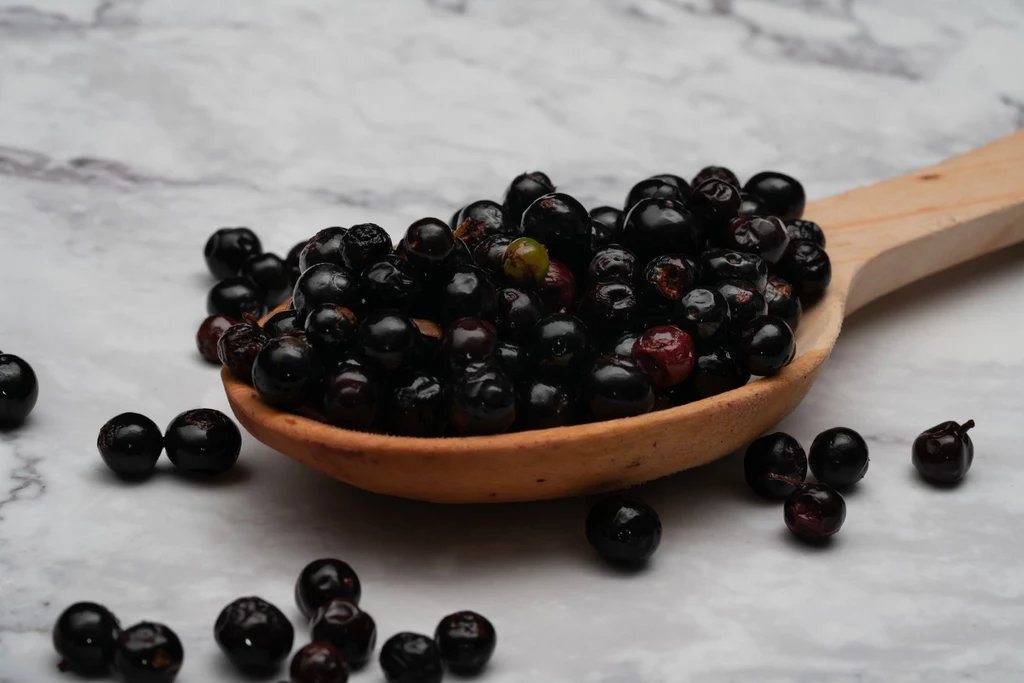 Owoce z czarnej porzeczki należą do jednych z najzdrowszych na świecie