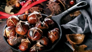 Warto jeść nawet codziennie - rozbijają tłuszcz na brzuchu i obniżają cukier. Kasztany jadalne - przysmak jesieni