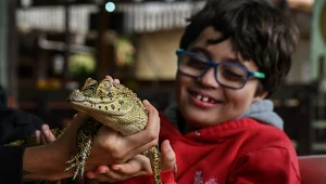 Boa dusiciel owinął się wokół szyi 15-latka. Moda czy rzeczywiste korzyści?
