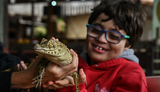 Boa dusiciel owinął się wokół szyi 15-latka. Moda czy rzeczywiste korzyści?