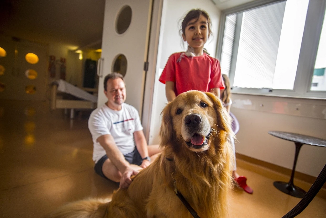 Najczęściej w aniamaloterapii wykorzystywane są psy. Na zdjęciu wizyta psiego terapeuty, pięcioletniego labradora, w szpitalu Infantil Sabará w São Paulo. Sesja dogoterapii trwa średnio 60 minut, by pies nie był zbyt zmęczony ilością interakcji z hospitalizowanymi dziećmi Najczęściej w aniamaloterapii wykorzystywane są psy. Na zdjęciu wizyta psiego terapeuty, pięcioletniego labradora, w szpitalu Infantil Sabará w São Paulo. Sesja dogoterapii trwa średnio 60 minut, by pies nie był zbyt zmęczony ilością interakcji z hospitalizowanymi dziećmi