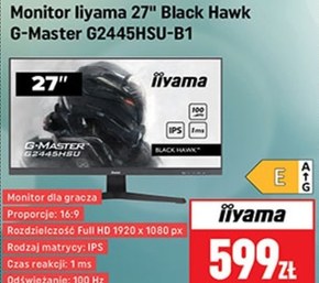 Monitor Iiyama niska cena