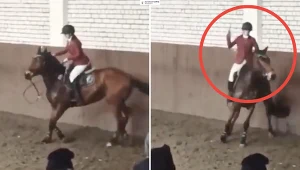 Ksenia Kostygowa ukarana za znęcanie się nad koniem