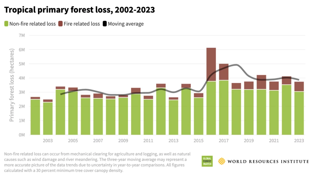 Na wykresie oznaczono skalę utraty lasów tropikalnych w ostatnich 20 latach