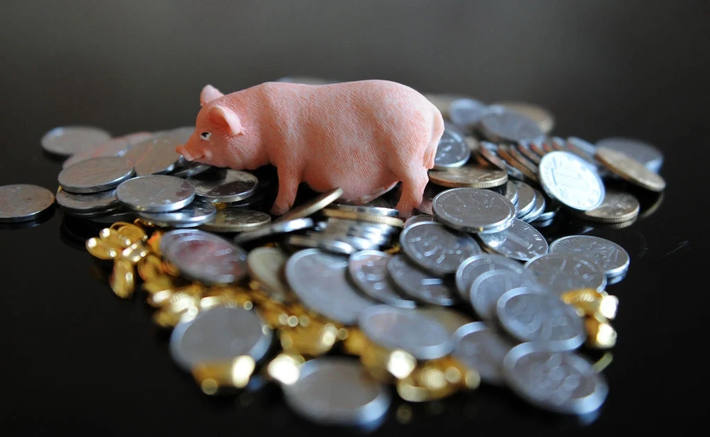 Organizacje przyrodnicze i prozwierzęce apelują do Banku Światowego o zakończenie wspierania rozwoju przemysłowego chowu zwierząt