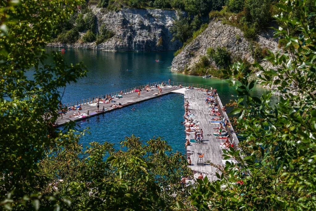 Inwazyjny gatunek w Zakrzówku? Zarząd Zieleni Miejskiej w Krakowie pokazał zdjęcia