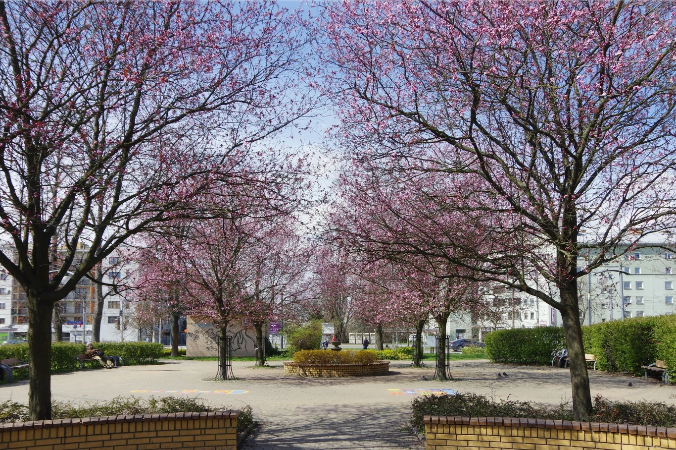 Do wtorku (9 kwietnia) rozpieści nas kwietniowa wiosenna aura 