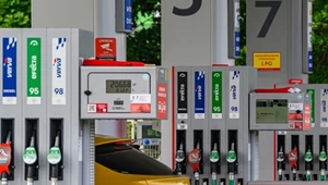 Jeżdżą za 24 zł/100 km. Polacy znów rzucili się na nowe auta z LPG