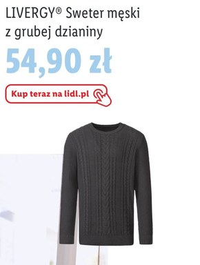 Sweter męski Livergy niska cena