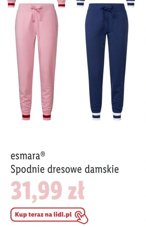 Spodnie dresowe Esmara niska cena