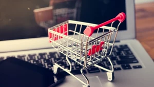 Platforma sprzedażowa Kauflandu wkrótce w Polsce. E-sklepom daje dostęp do 5 rynków
