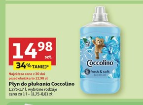 Coccolino Blue Splash Płyn do płukania tkanin koncentrat 1700 ml (68 prań) niska cena