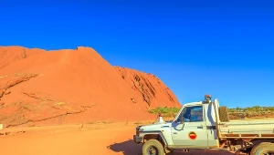 Sfotografowali kretowora. Wyjątkowe wydarzenie na Antypodach