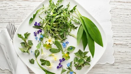 Mniszek lekarski, koniczyna, te chwasty można jeść | Fot.123RF/Picsel