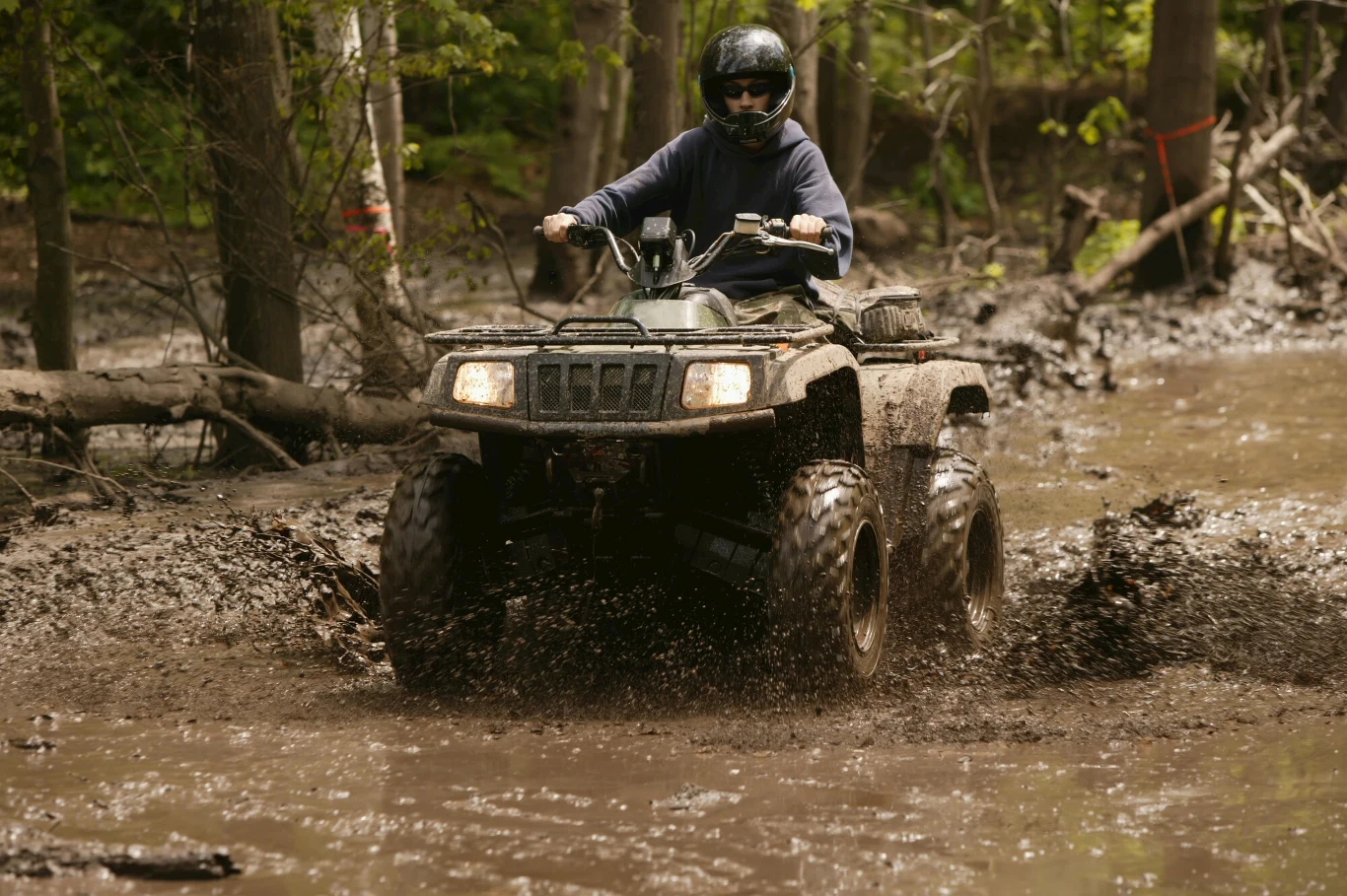 Pomimo oczywistych znaków zakazu wjazdu na dany obszar kierowcy pojazdów, a w tym quadów i motocykli regularnie wjeżdżają na leśne tereny