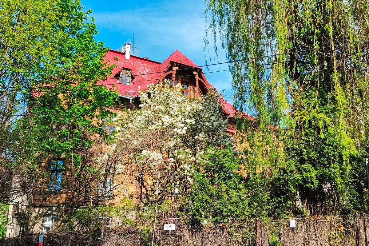 Wiosną Cieszyn tonie w zieleni i kwiatach