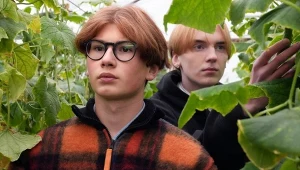 Aleks wejdzie w nielegalny biznes
