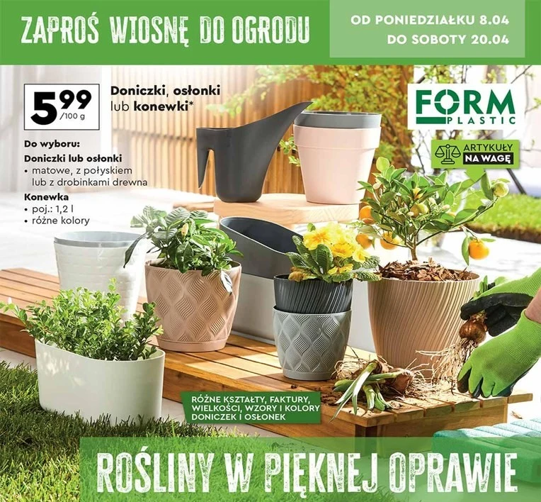 Doniczki i osłonki niezwykle tanio w Biedronce! 