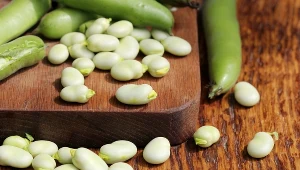 To zdrowe warzywo możesz mieć we własnym ogrodzie. Nie przegap terminu siewu